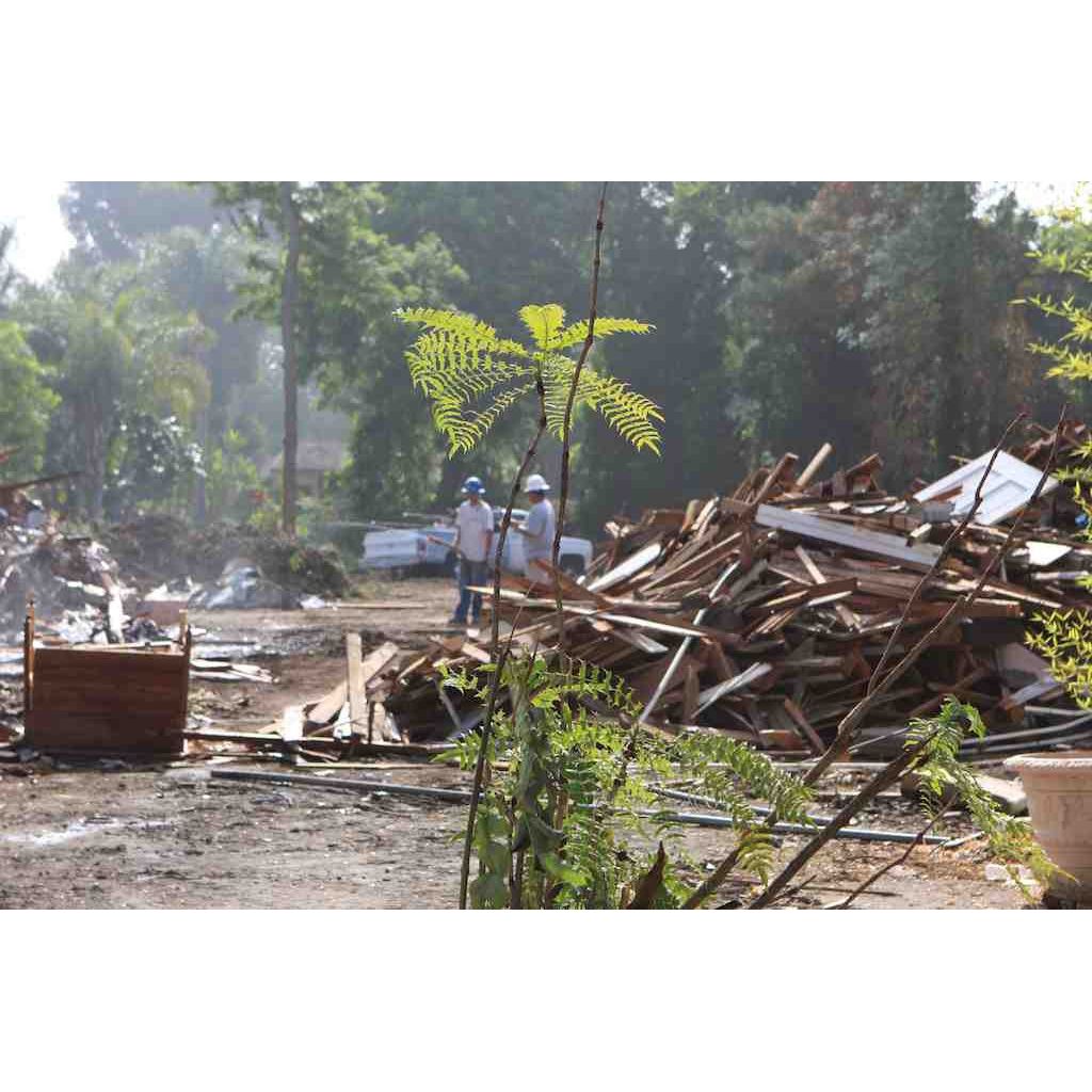 Salvaging old wood from a house in Hollywood, California