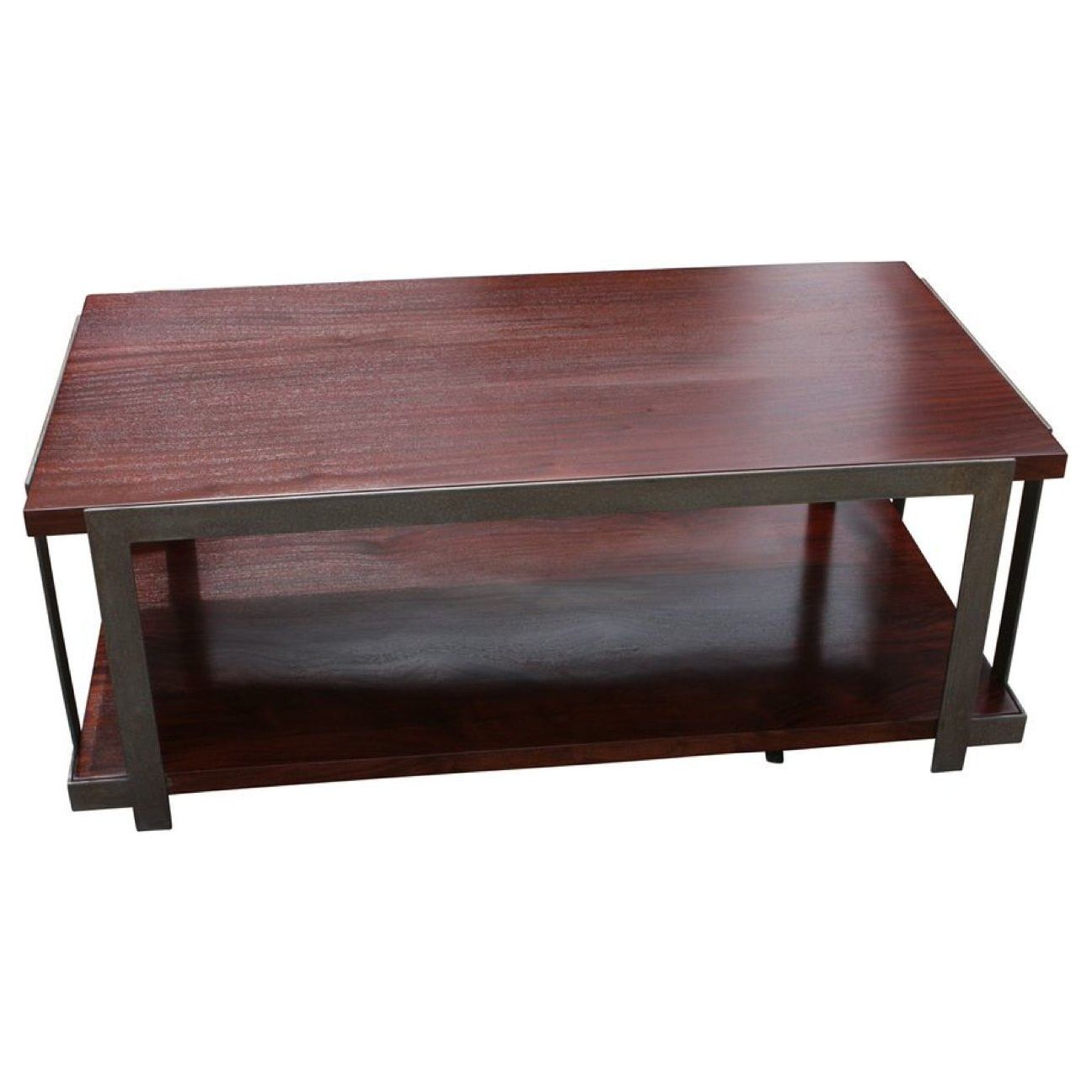 Organic Modern Industrial Coffee Table
