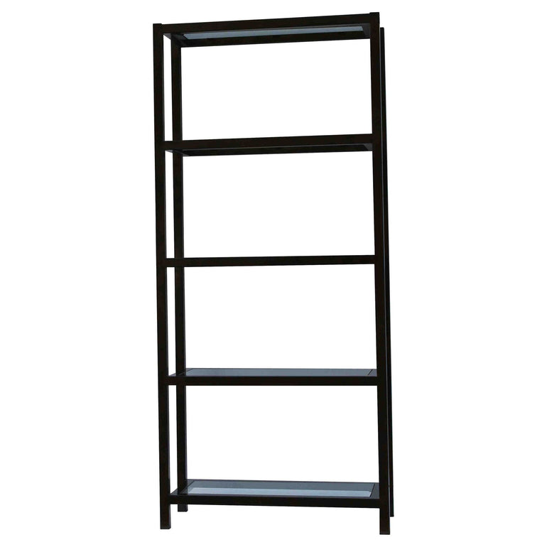 Williamsburg Metal and Glass Modern Bookcase